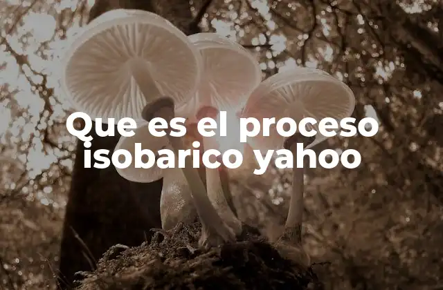 Que es el Proceso Isobarico Yahoo