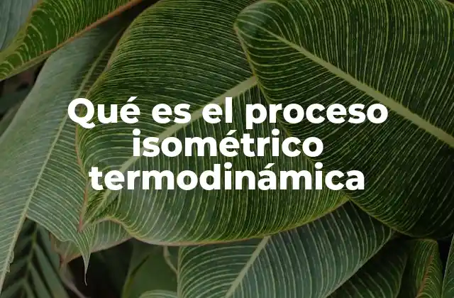 Características del proceso isométrico