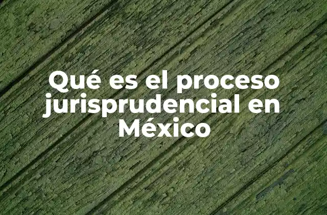 Qué es el Proceso Jurisprudencial en México