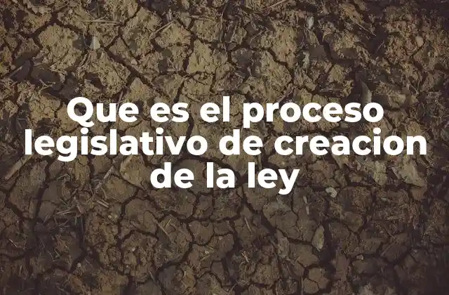 Que es el Proceso Legislativo de Creacion de la Ley