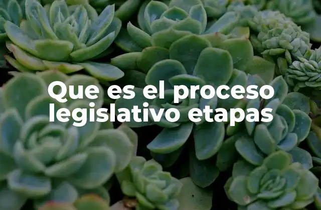 Que es el Proceso Legislativo Etapas