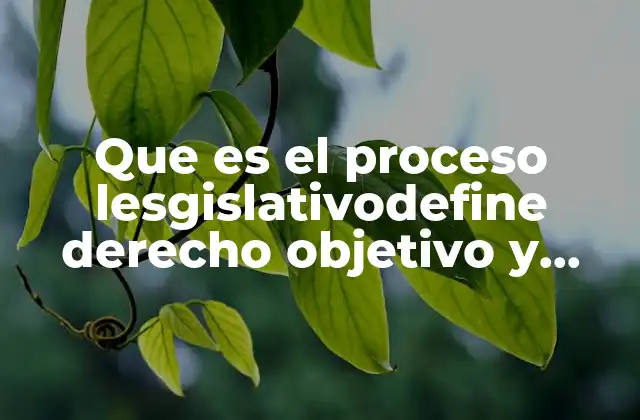 Que es el Proceso Lesgislativodefine Derecho Objetivo y Subjetivo