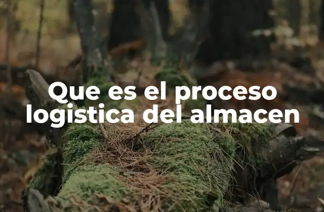Que es el Proceso Logistica Del Almacen