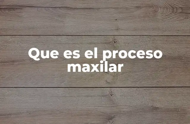 Estructura y función del hueso maxilar