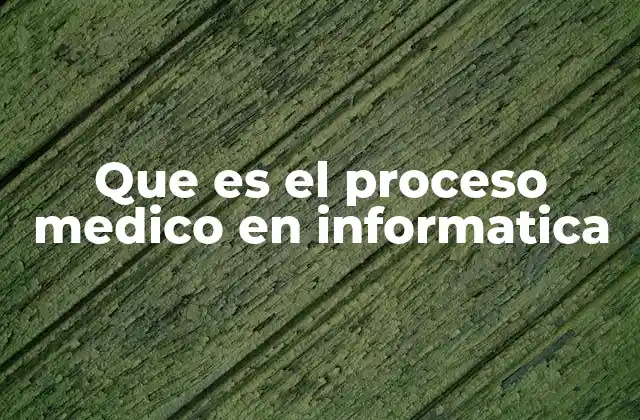 Que es el Proceso Medico en Informatica