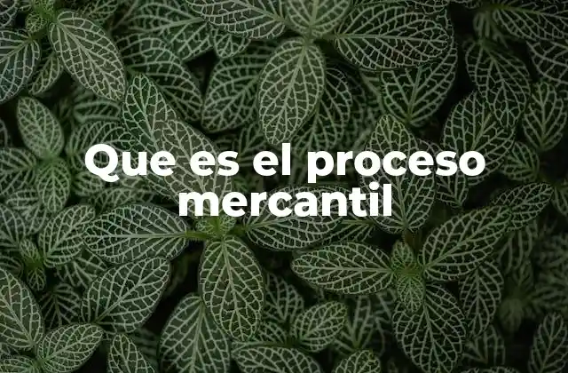 Que es el Proceso Mercantil