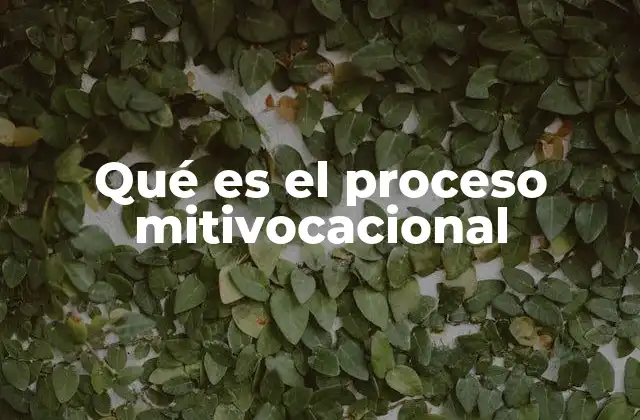 Qué es el Proceso Mitivocacional