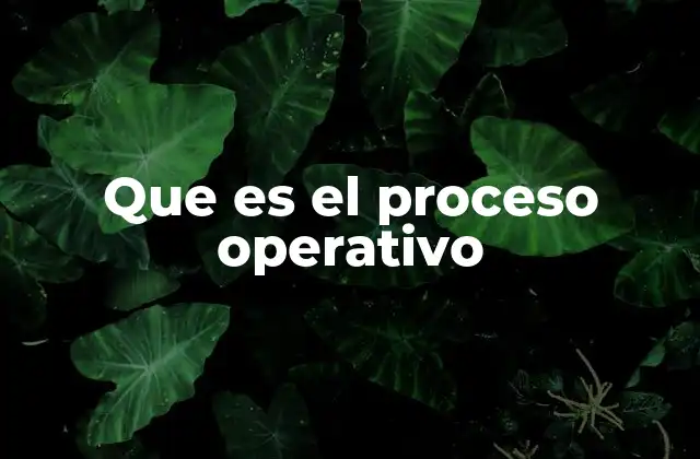 Que es el Proceso Operativo