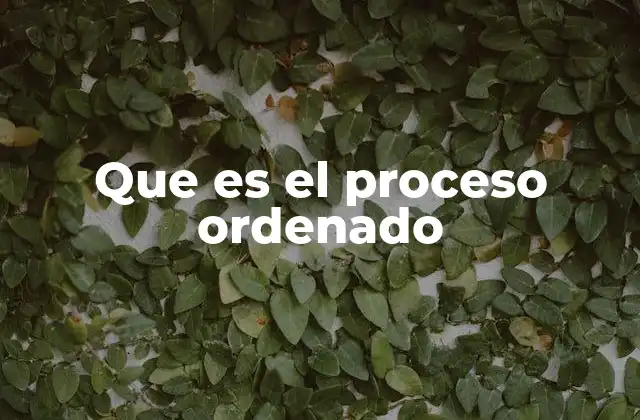 Que es el Proceso Ordenado