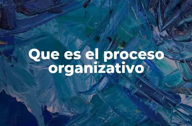 Que es el Proceso Organizativo