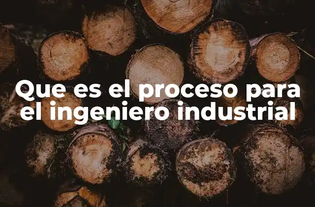 Que es el Proceso para el Ingeniero Industrial 2 La base metodológica del trabajo del ingeniero industrial