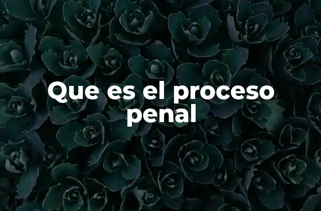 Que es el Proceso Penal