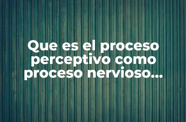 La relación entre la percepción y la actividad cerebral