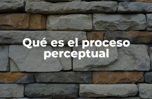 Qué es el Proceso Perceptual