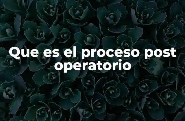 Que es el Proceso Post Operatorio