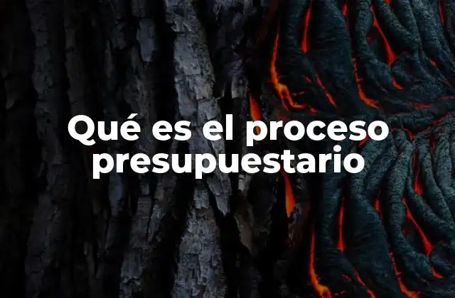 Qué es el Proceso Presupuestario