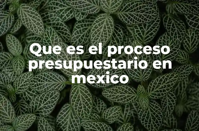 Que es el Proceso Presupuestario en Mexico 2 El marco legal del proceso presupuestario