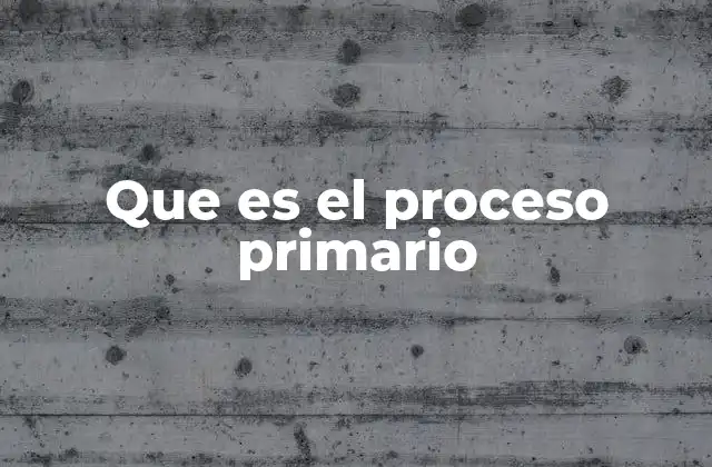 Que es el Proceso Primario
