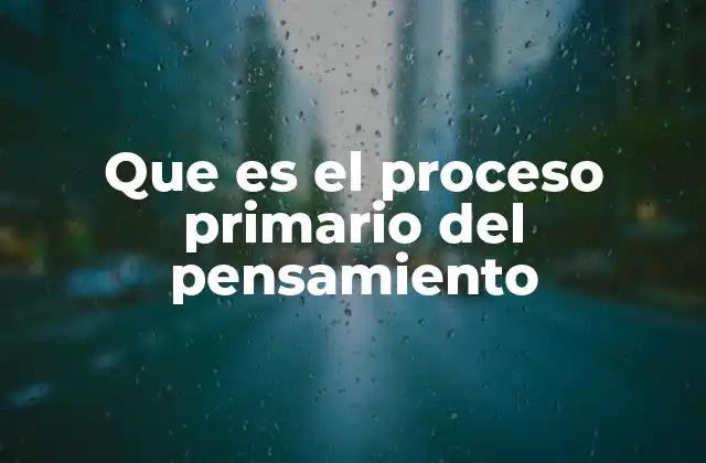 Que es el Proceso Primario Del Pensamiento