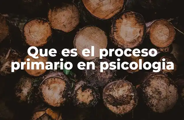 Que es el Proceso Primario en Psicologia