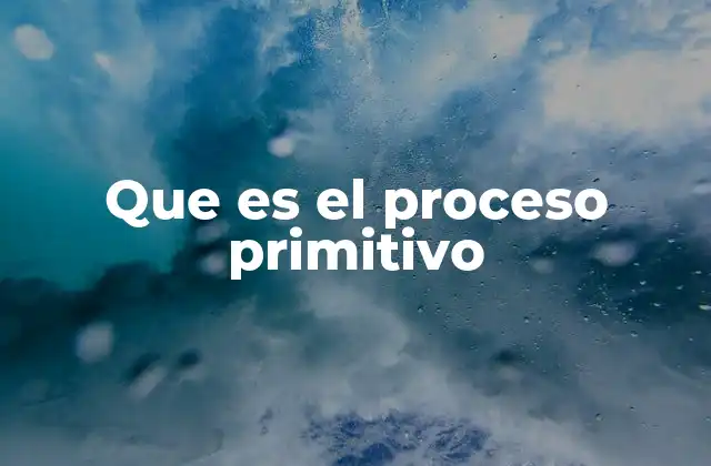 Que es el Proceso Primitivo