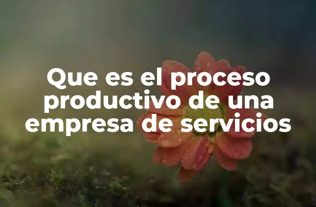 Que es el Proceso Productivo de una Empresa de Servicios