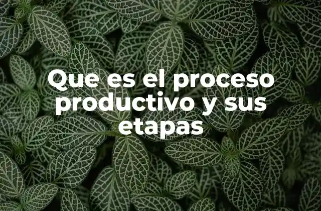 Que es el Proceso Productivo y Sus Etapas