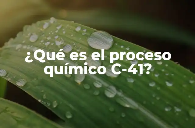 ¿qué es el Proceso Químico C-41?
