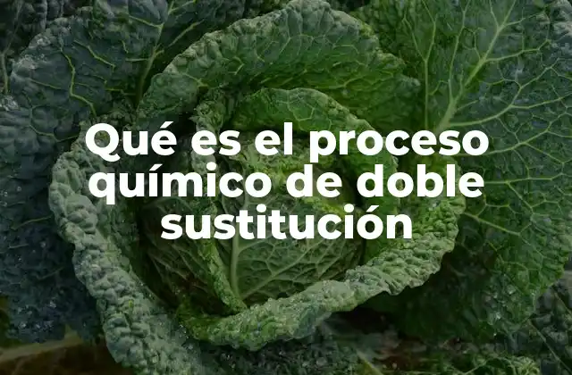 Qué es el Proceso Químico de Doble Sustitución