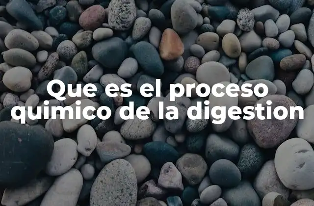 Que es el Proceso Quimico de la Digestion