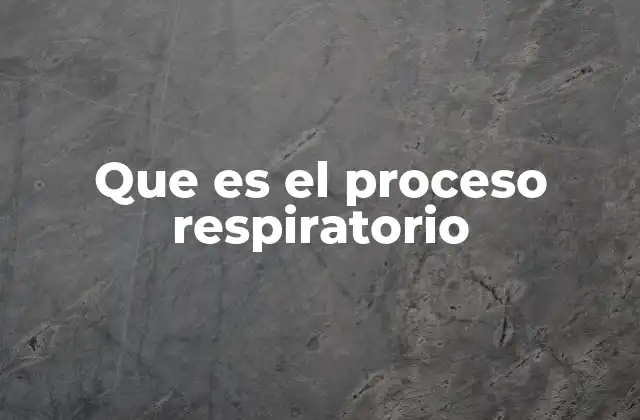Que es el Proceso Respiratorio 2 El proceso respiratorio y su papel en la supervivencia celular
