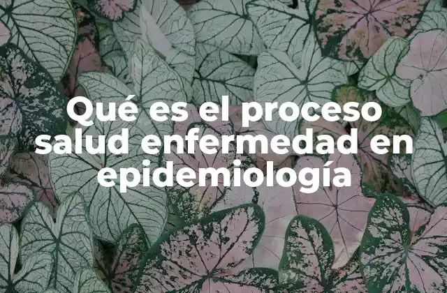 Qué es el Proceso Salud Enfermedad en Epidemiología