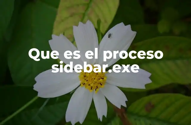 Que es el Proceso Sidebar.exe