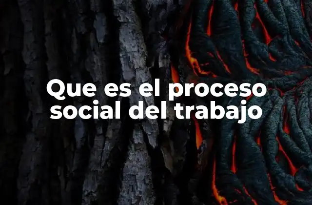 Que es el Proceso Social Del Trabajo