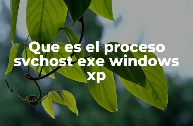 Que es el Proceso Svchost Exe Windows Xp