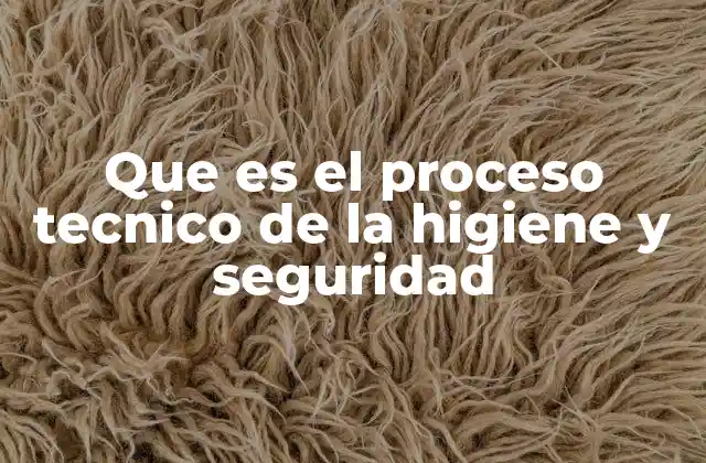 Que es el Proceso Tecnico de la Higiene y Seguridad