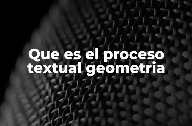Que es el Proceso Textual Geometria