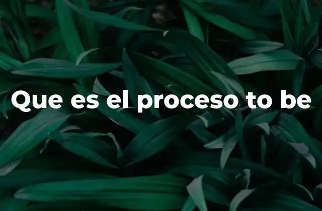 Que es el Proceso To Be
