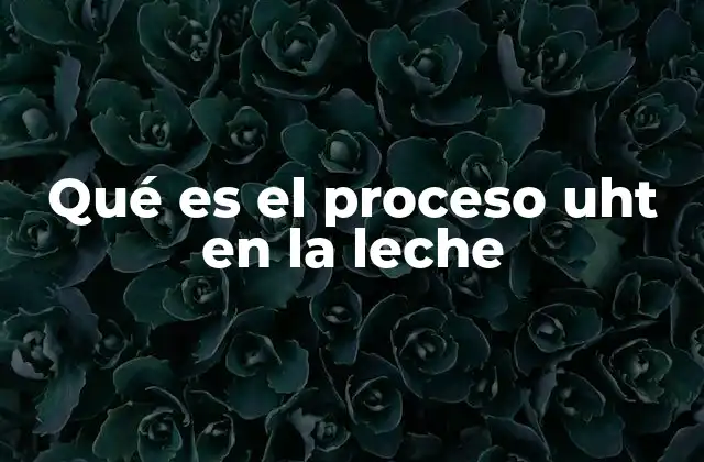 Qué es el Proceso Uht en la Leche