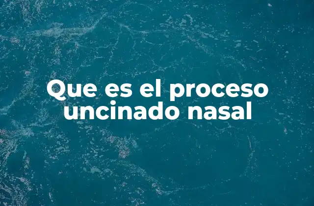 Que es el Proceso Uncinado Nasal