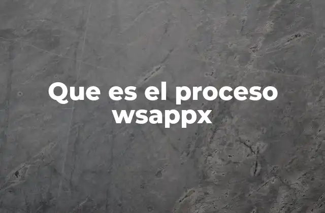 Que es el Proceso Wsappx