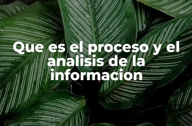 Que es el Proceso y el Analisis de la Informacion