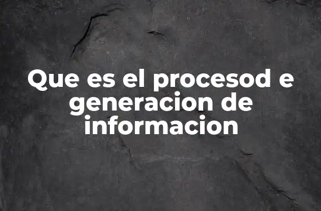 Que es el Procesod e Generacion de Informacion