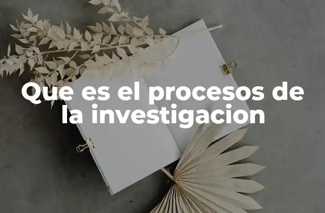 Que es el Procesos de la Investigacion