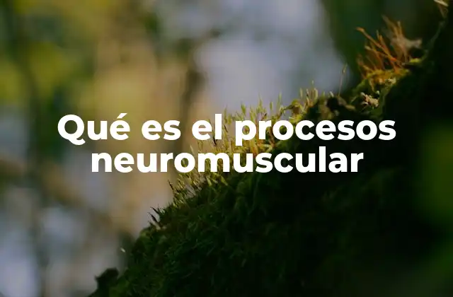 Qué es el Procesos Neuromuscular
