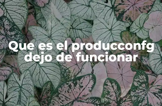 Que es el Producconfg Dejo de Funcionar 2 Causas comunes cuando un sistema productivo deja de funcionar