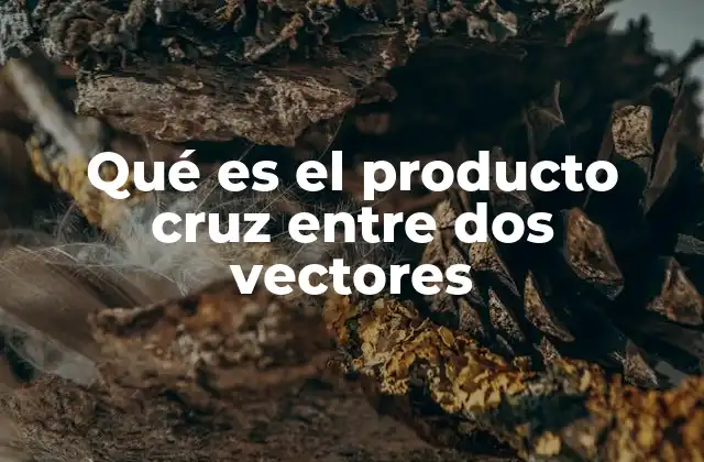 Qué es el Producto Cruz entre Dos Vectores