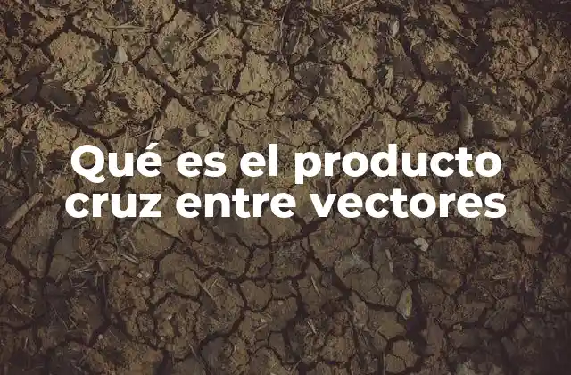 Qué es el Producto Cruz entre Vectores