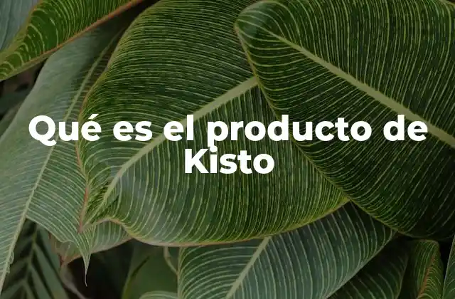 Qué es el Producto de Kisto