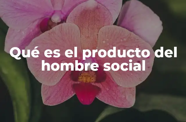 Qué es el Producto Del Hombre Social